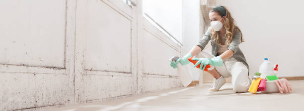 Mold Odor Removal Services in Home Gardens, CA